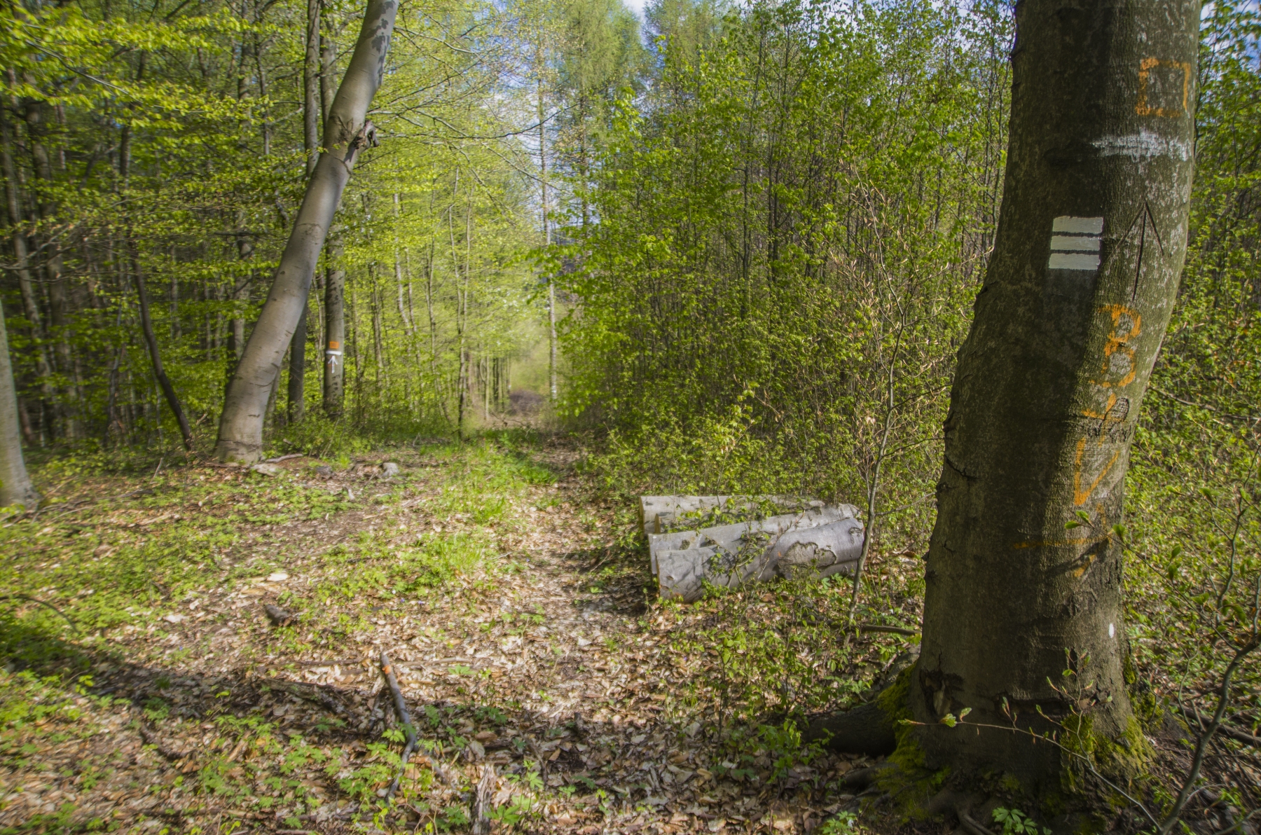 Lo(c)kácia,chodník, 2021 (foto: archív Gabriela Birošová)