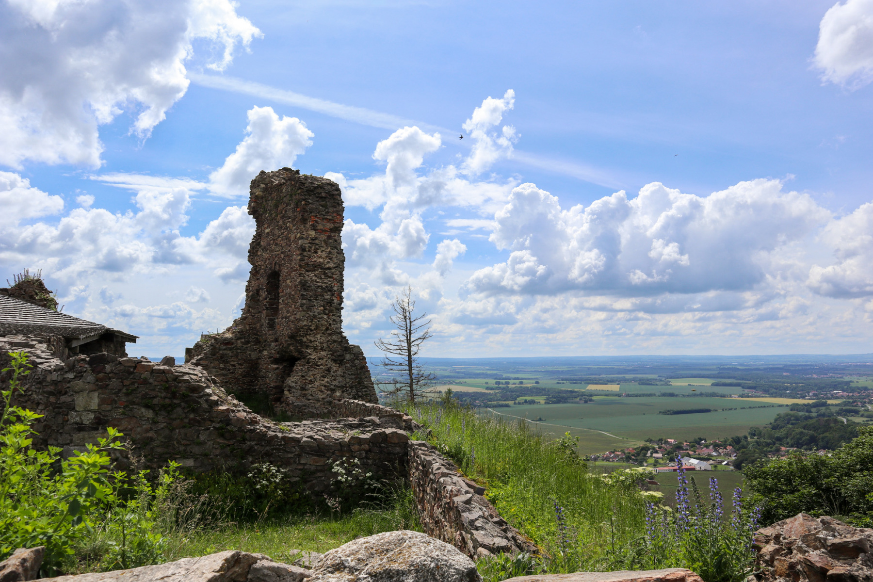 Čáslavská veža v severnom paláci, hrad Lichnice, 2020 (foto: KUNSTARTUM)