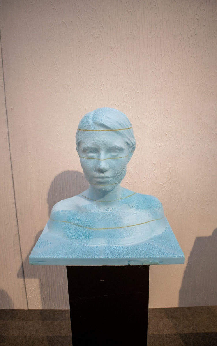 Časť projektu Self-Desing zobrazujúca ľudský portrét vytvorený pomocou programu 3D modelov  pre generovanie objektu/ topografie krajiny od Ľubice Mildeovej (foto: KUNSTARTUM)