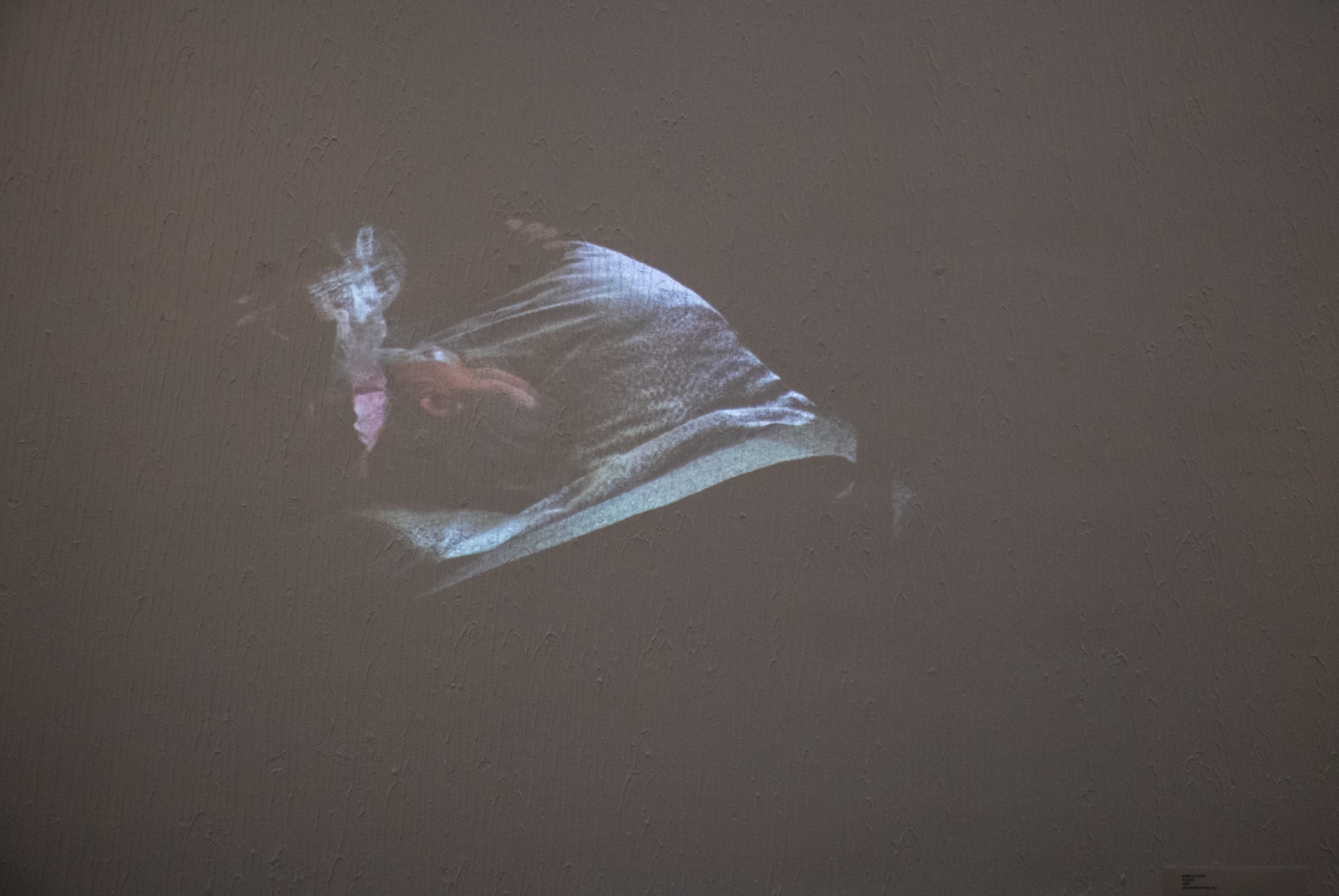 Anabela Sládek, In sleep, 2020, jednokanálové video, loop (foto: KUNSTARTUM)