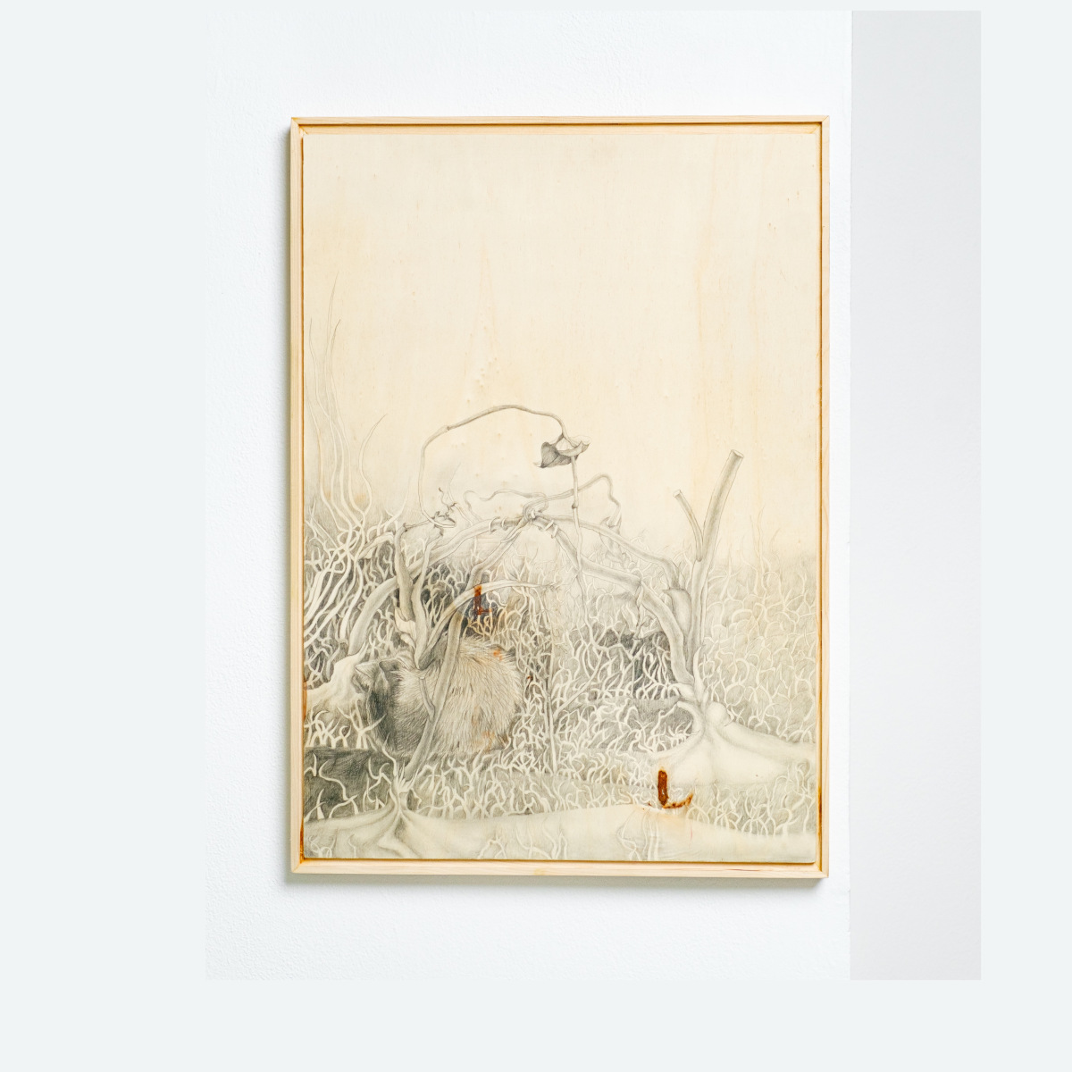 Iva Davidová: Came To The Blorp But Merely Blarted, 2024, kresba na drevenej doske, 46x70 cm (foto: Marián Hromek)