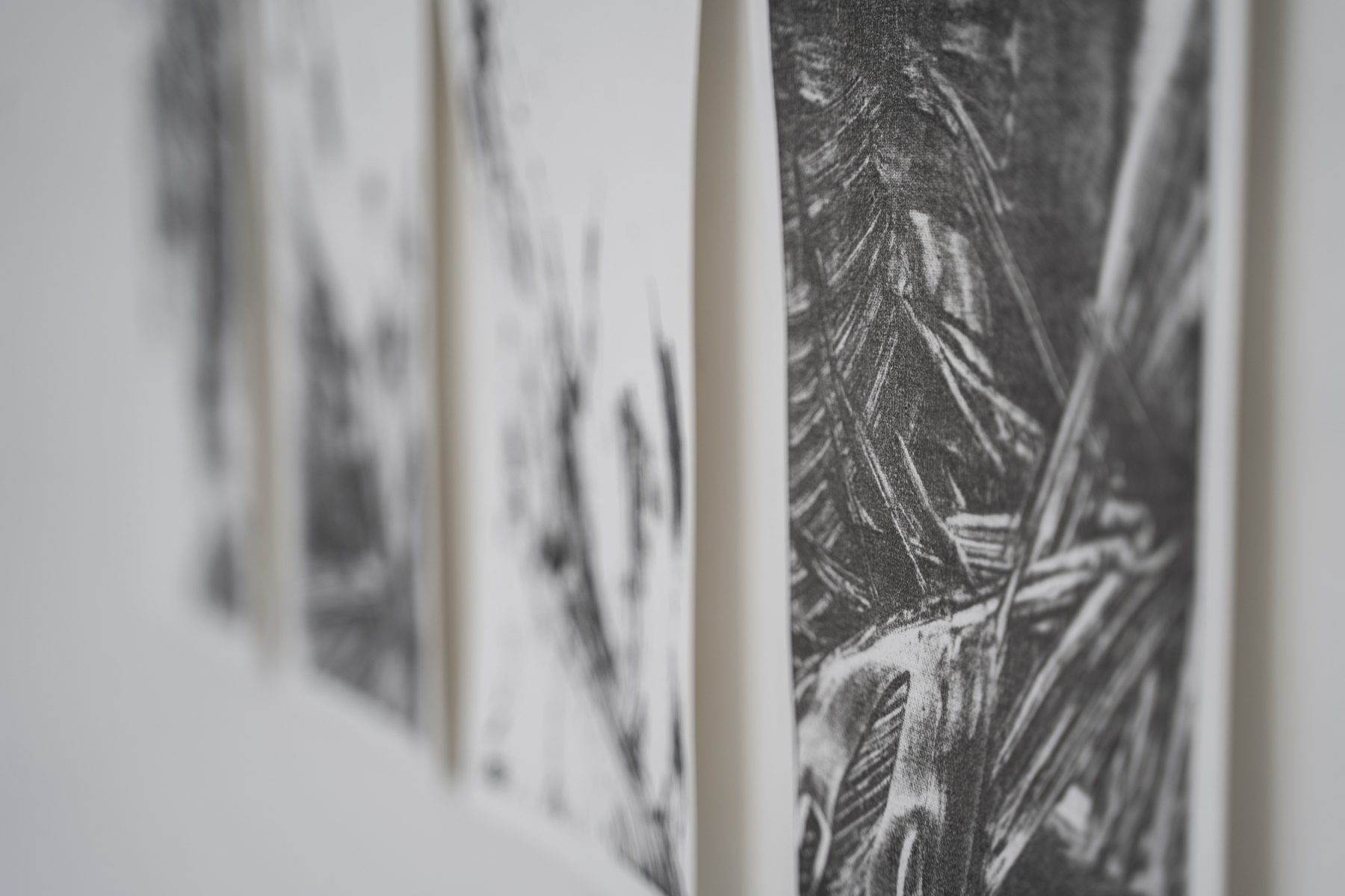Jozefína Fujašová: zo série Tiché reči, 2025, litografia – detail (foto: Rémi Rakeem Homan)
