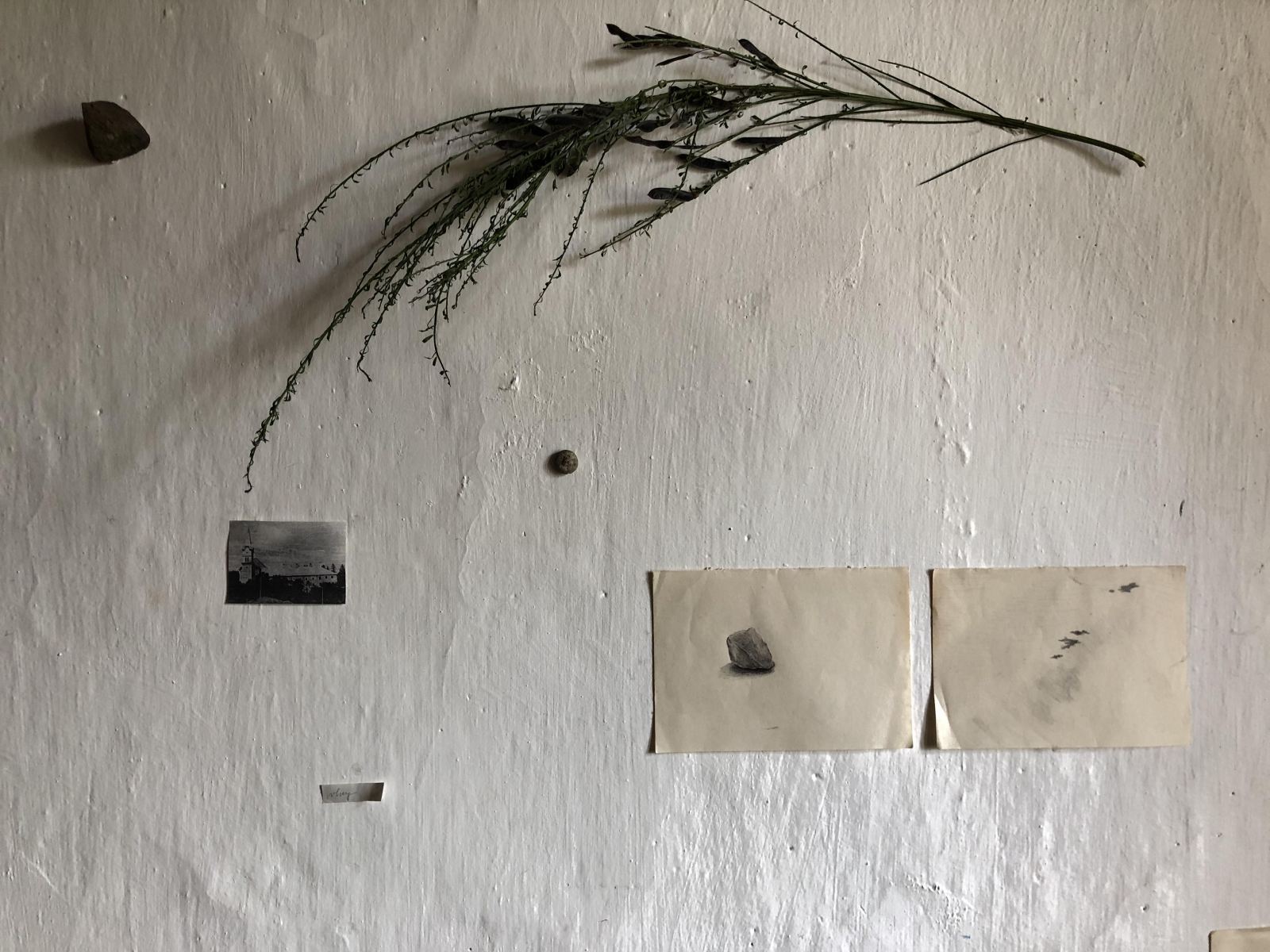 Časť z inštalácie Kristíny Mičovej, 2020, nájdené objekty, kresba, fotografia, Kláštor Opening, Kláštor Hieronymitánov, Štiavnické Bane (foto: Kristína Denková)