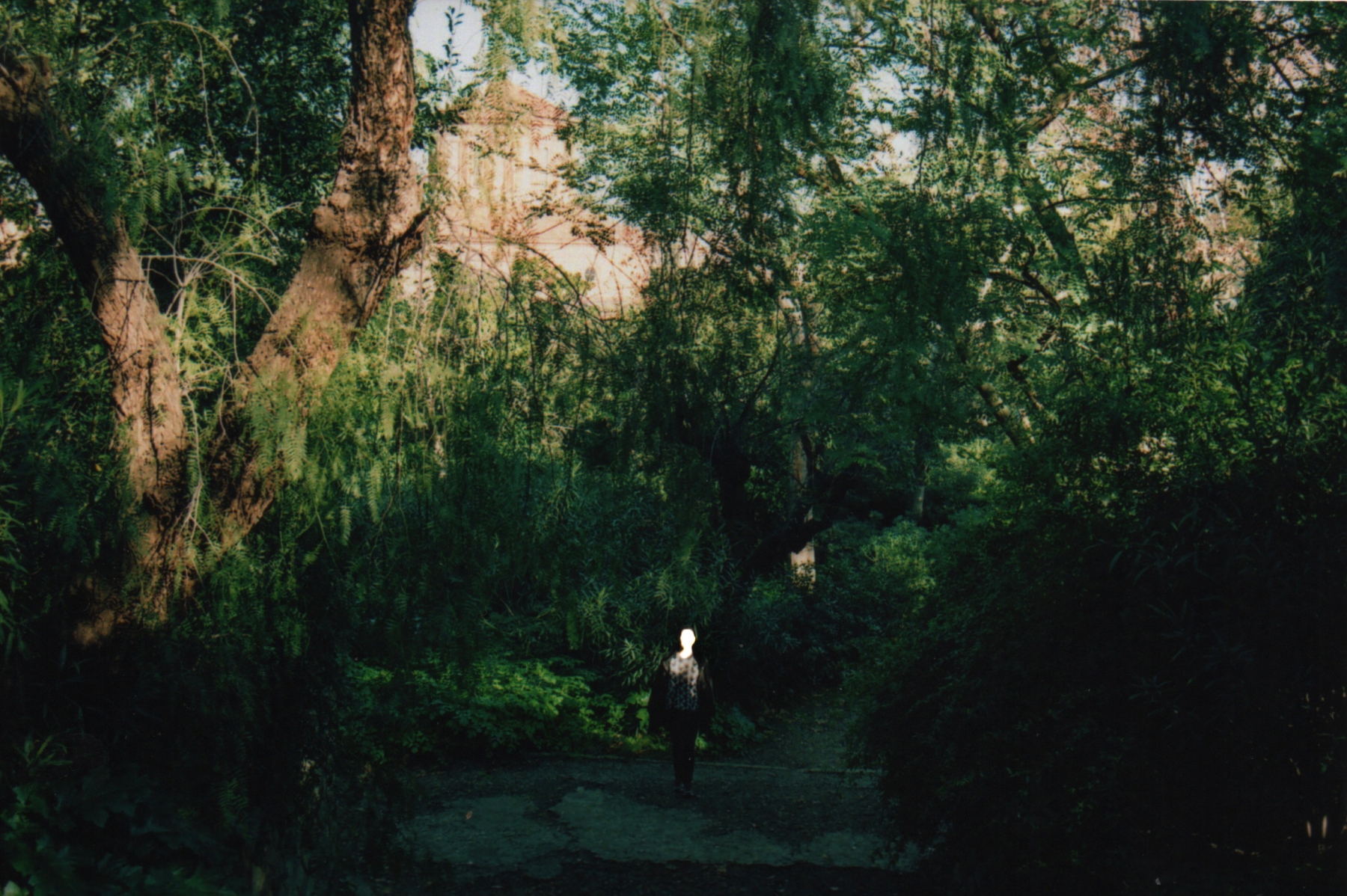 Voyager, 2020, fotografia (foto: Kristína Mičová)
