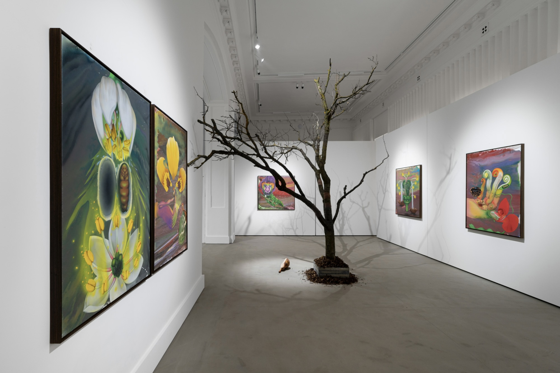 Z výstavy Kristína Bukovčáková: Opeľovačov sen, 2024, Comma Gallery, Bratislava (foto: Adam Šakový)