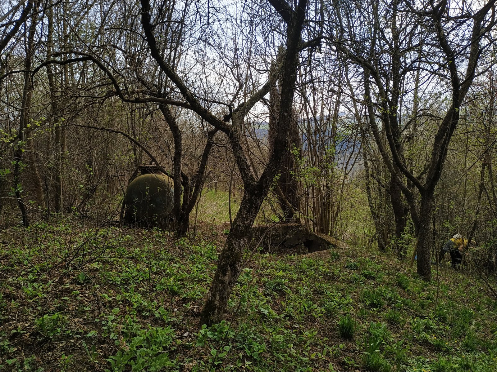 Stará záhradkárska osada, kam chodí umelkyňa Kristína Záhorová zbierať rastliny a bylinky na výrobu prírodných tušov a pigmentov. (foto: archív Kristína Záhorová)