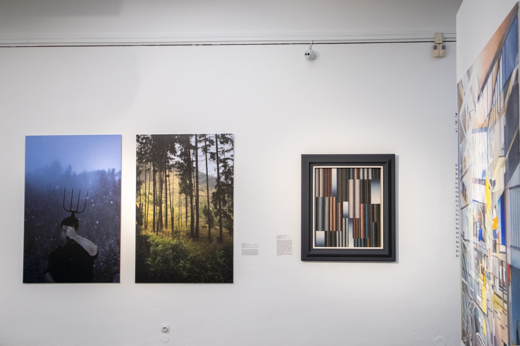 Zľava: Ján Ďurina, Bez názvu (z cyklu Horal), 2016-2017, fotografia na fotopapieri a hliníku; Ester Šimerová-Martinčeková, Les, 1989, olej na pláne (foto: KUNSTARTUM)