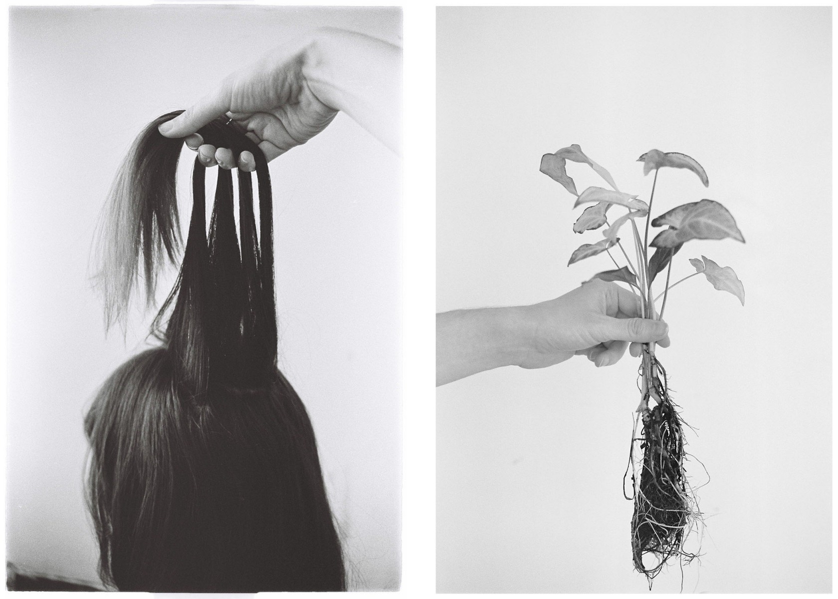 Situácie, 2020, analógová fotografia, 2x 19x29 cm (foto: archív Lucia Veselá)