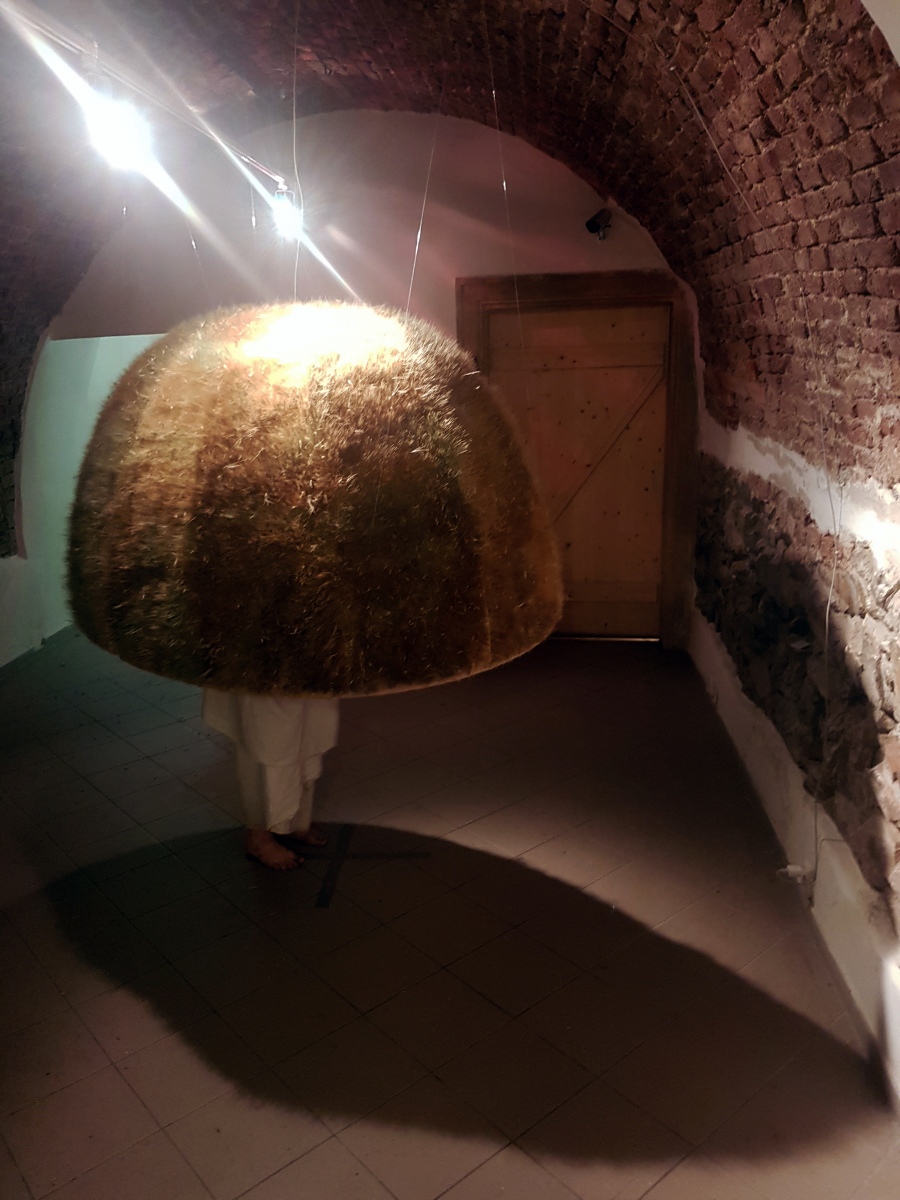 Výstava Medzi nami, 2020, Galerie XY, Olomouc (foto: archív Lucia Veselá)