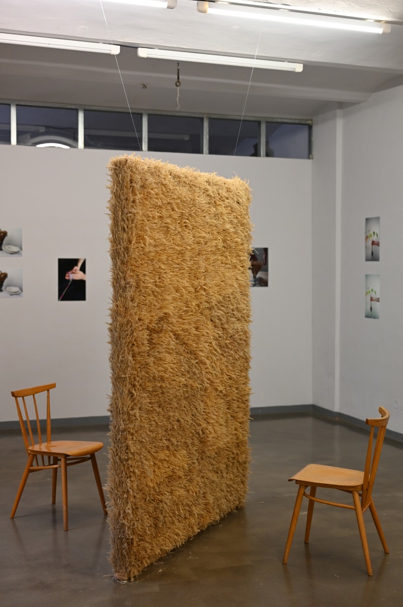 Bariéra, 2019, mix prírodných médií, 155x200x10 cm . Na výstave Medzi nami v olomouckej Galérii XY.  (foto: archív Lucia Veselá)