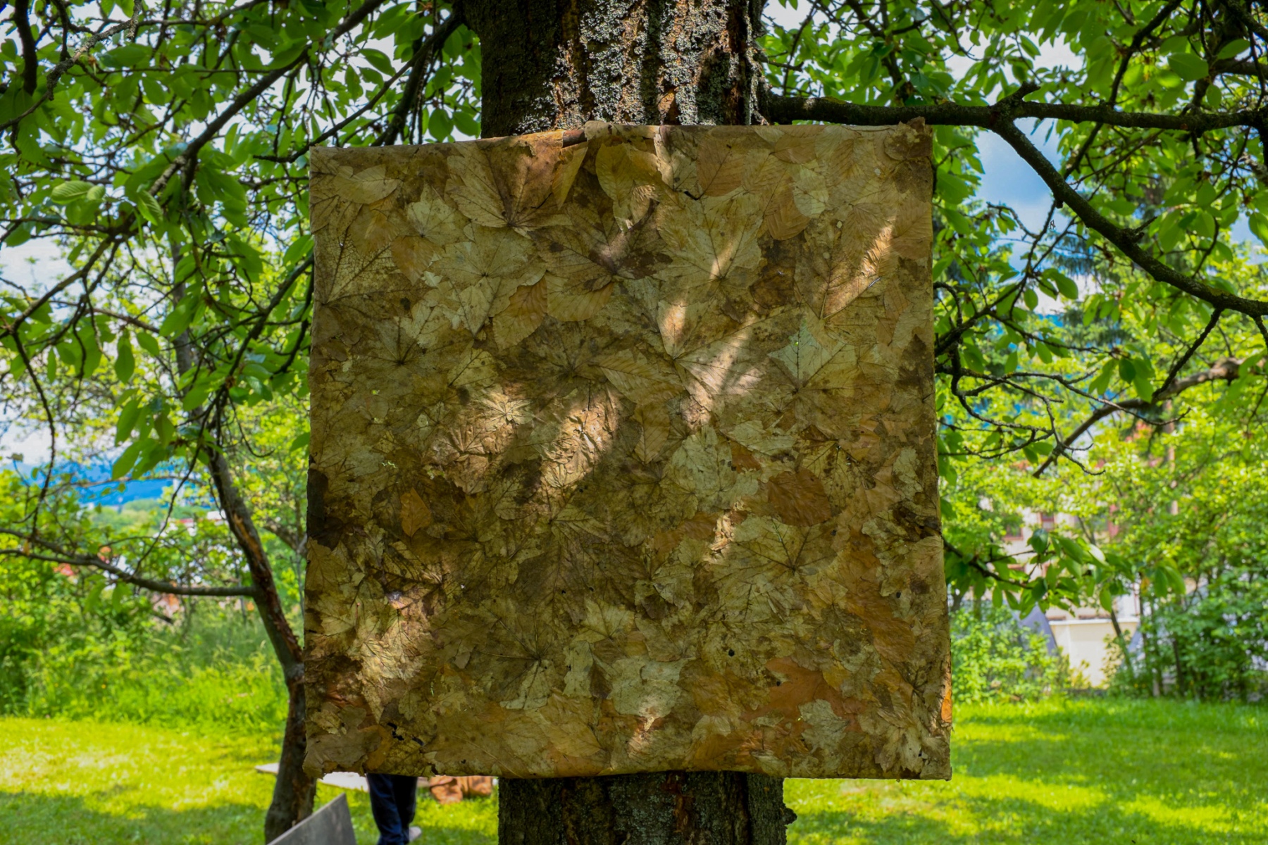 Možnosť zásahu, 2018, listy lepené glejom, 50x50cm (foto: Martin Deči)
