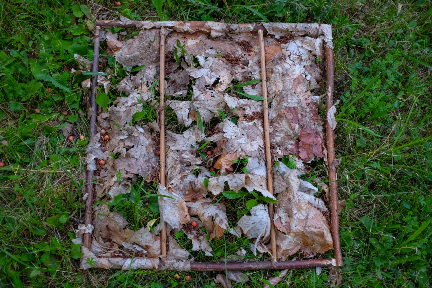 Možnosť zásahu, 2018, listy lepené glejom, 50x50cm (foto: Martin Deči)