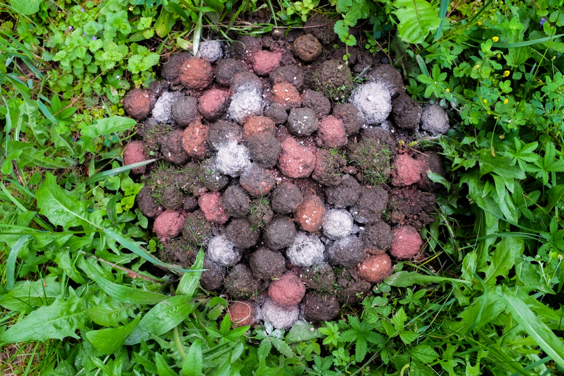 Splývanie pominuteľností – priestorová inštalácia, 2019, zem, farebná hlina, semiačka lúčnych kvetov, 50x30 cm (foto: Martin Deči)