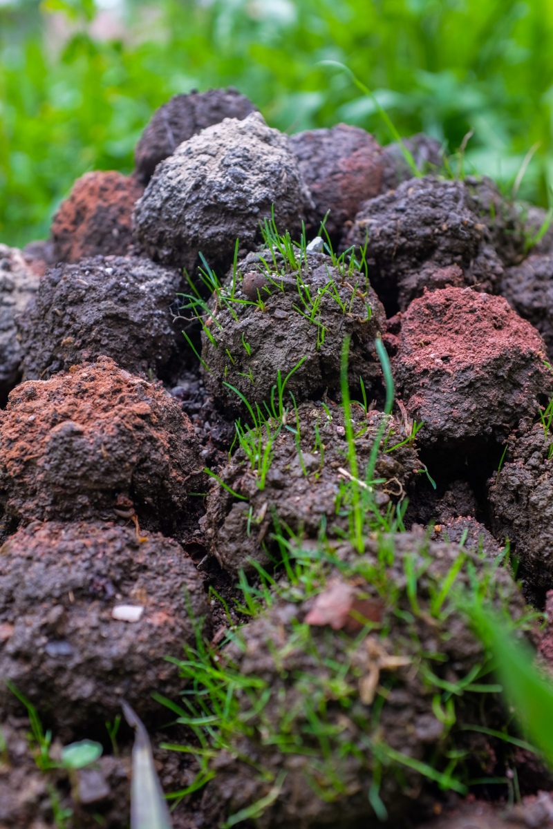 Detail z priestorovej inštalácie Splývanie pominuteľností (foto: Martin  Deči)