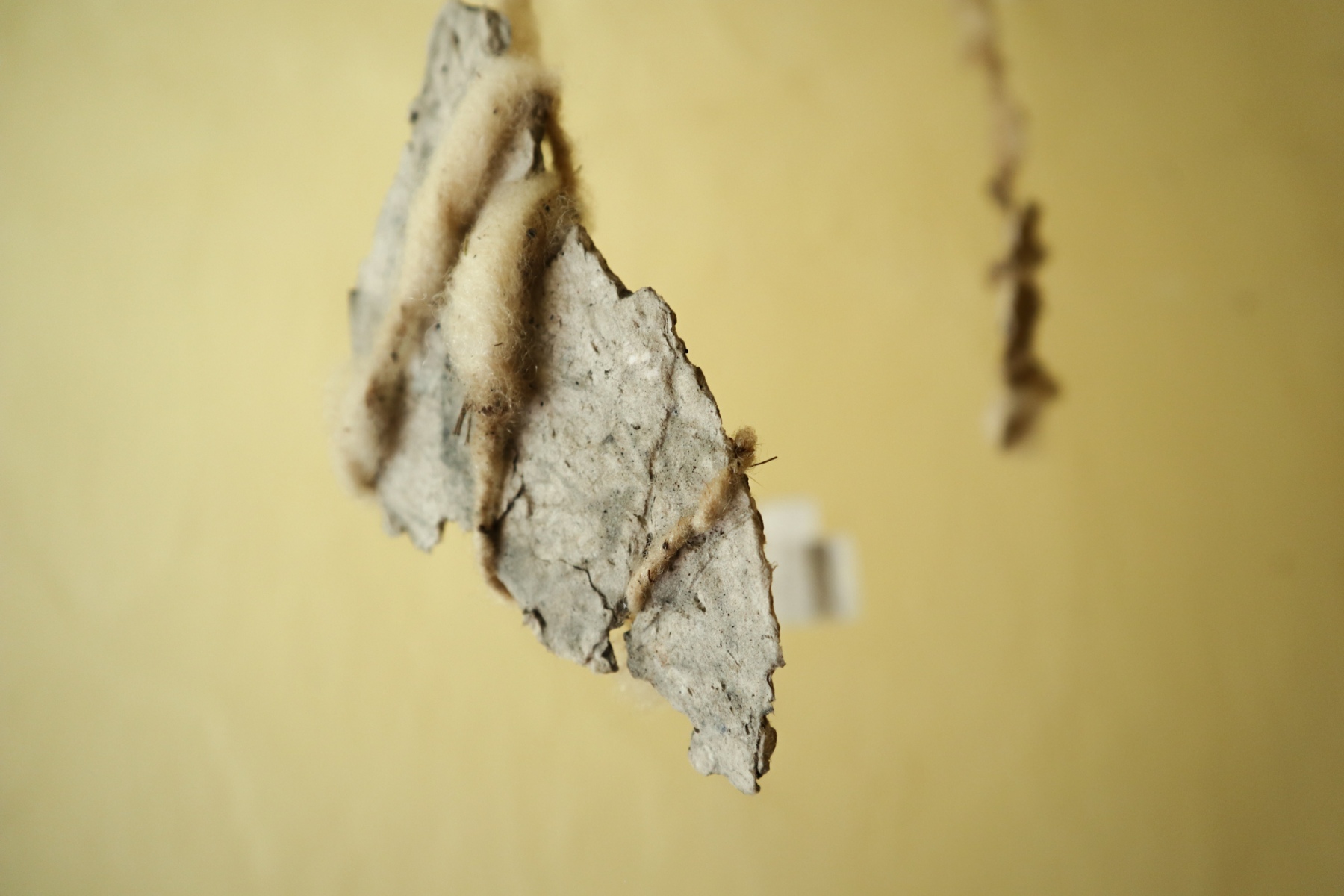 Detail z inštalácie, 2020, ovčia vlna a papier maché, Kláštor Opening, Kláštor Hieronymitánov, Štiavnické Bane (foto: KUNSTARTUM)