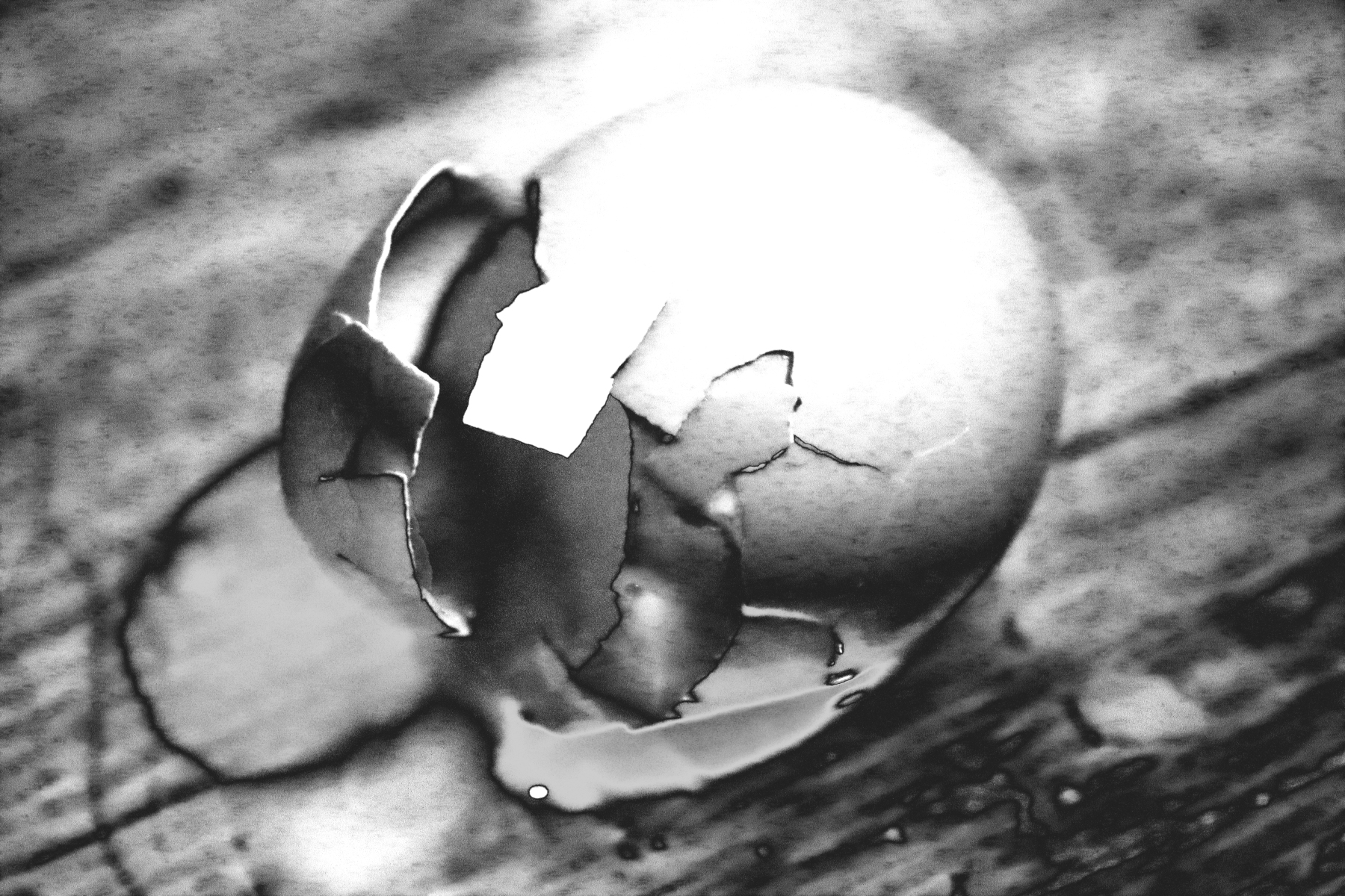 Power & Weakness (Sila a slabosť), 2022, digitálna fotografia (foto: archív Nikoleta Gazdová)