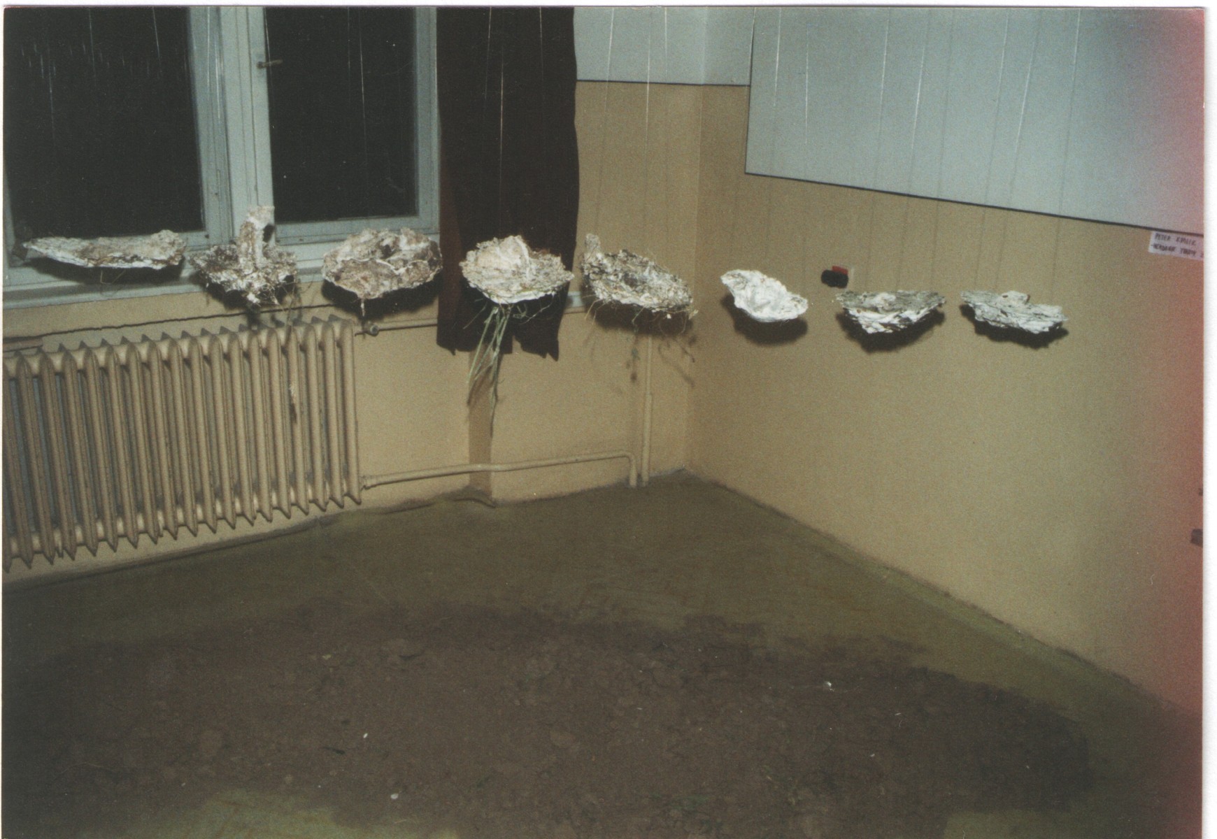 V krajine, 2001, inštalácia – sadrové odliatky, zem, semestrálna práca  (foto: archív Peter Králik)