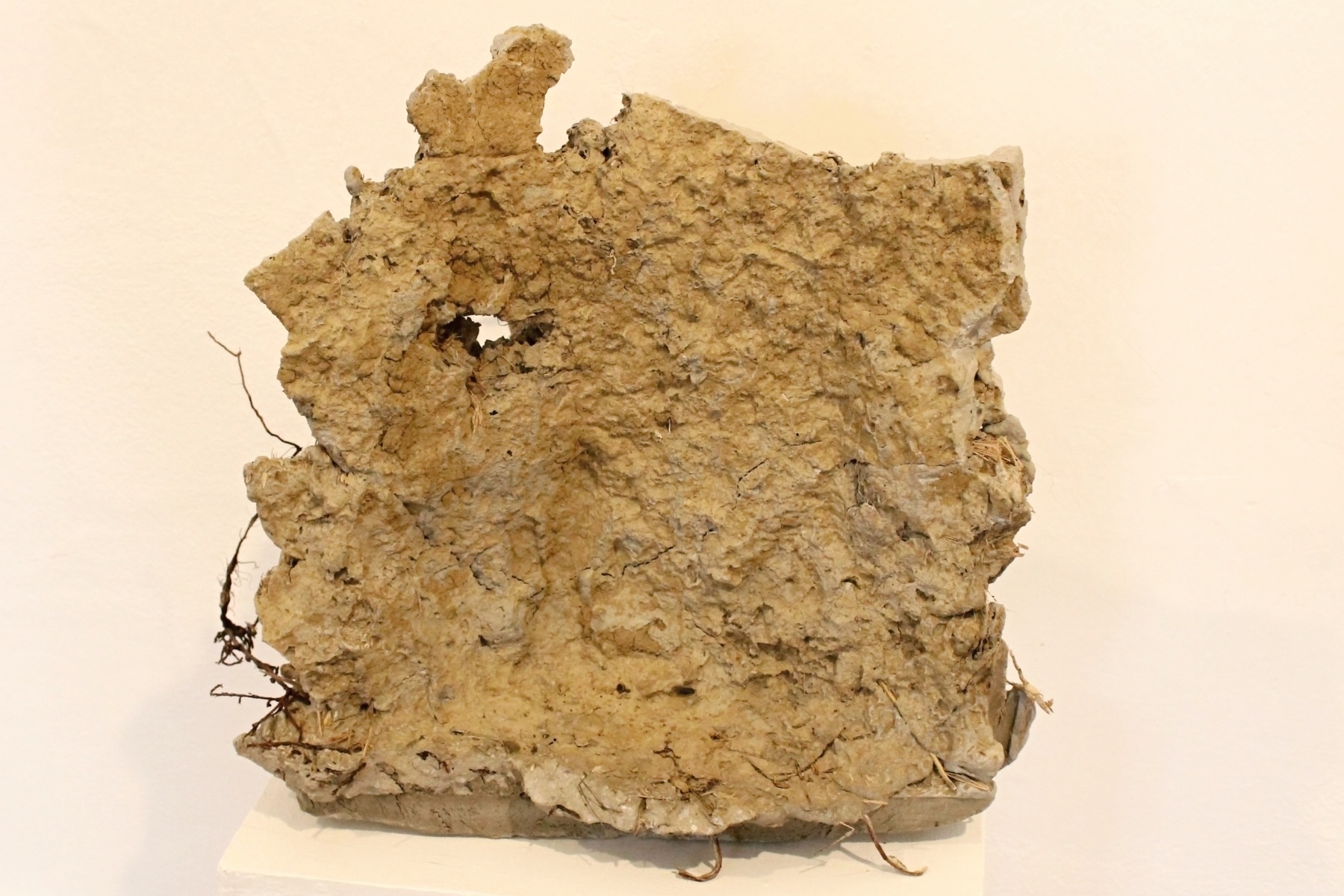 Praskliny (séria), 2018, objekty – betónové odliatky prasklín v zemi, ktoré sa vytvorili suchom, 50x30x40 cm (foto: archív Peter Králik)