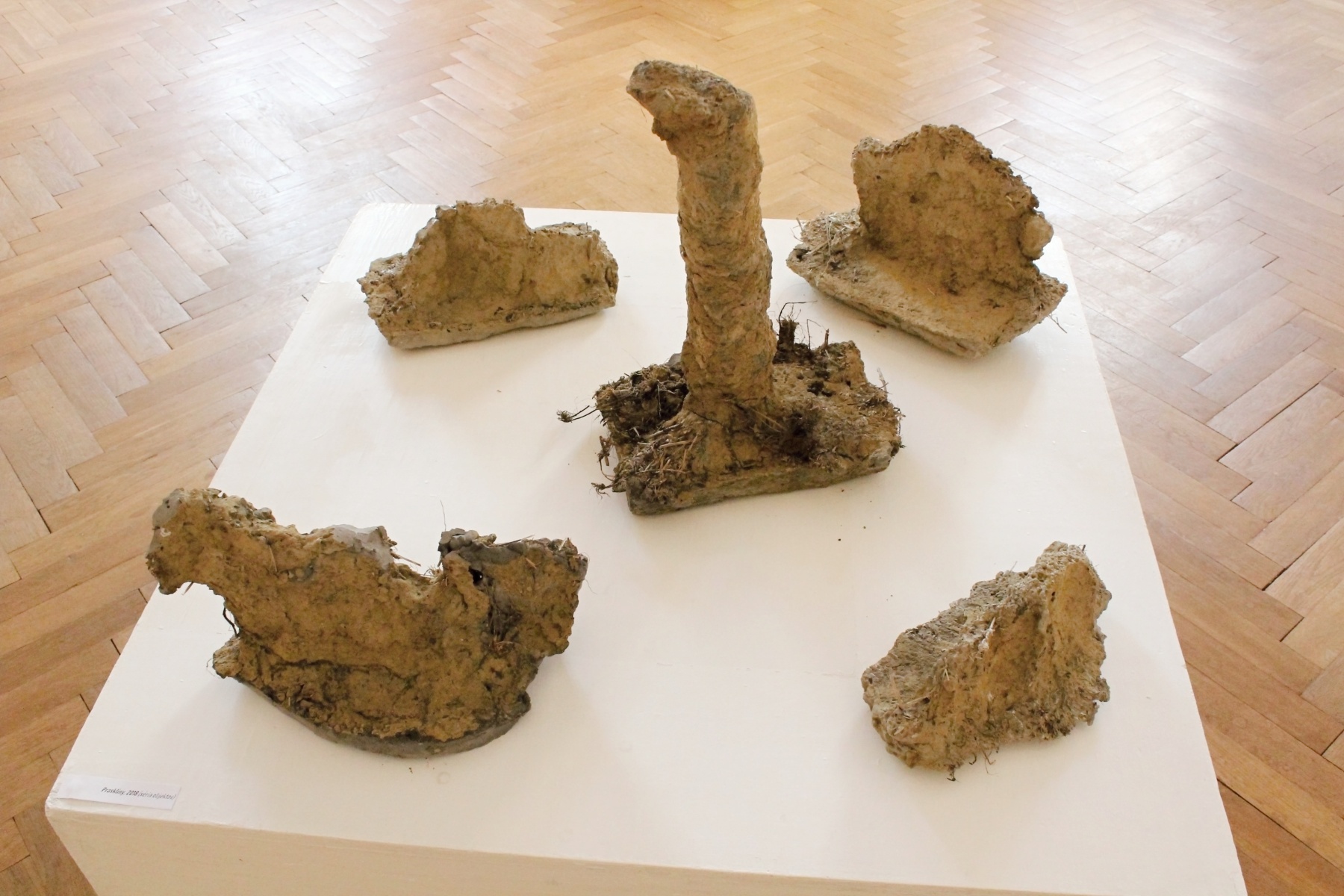Praskliny (séria), 2018, objekty – betónové odliatky prasklín v zemi, ktoré sa vytvorili suchom, 50x30x40 cm (foto: archív Peter Králik)