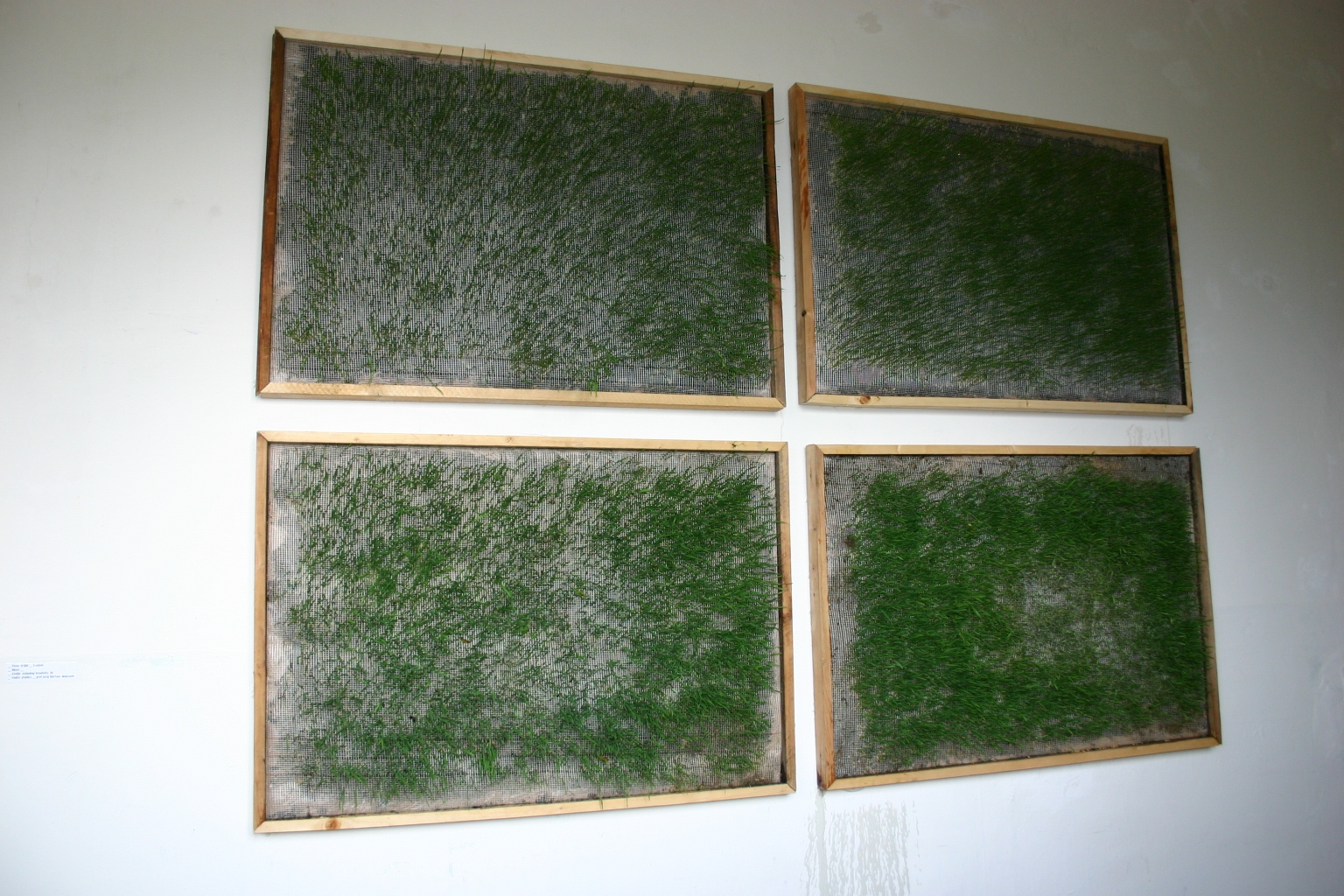 Naklíčené polia – klíčené obrazy, 2004,  4x 100x80 cm (foto: archív Peter Králik)