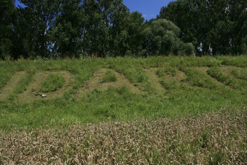 Landartové záhrady, 2012, vykosený nápis, 60x2 m (foto: archív Peter Králik)