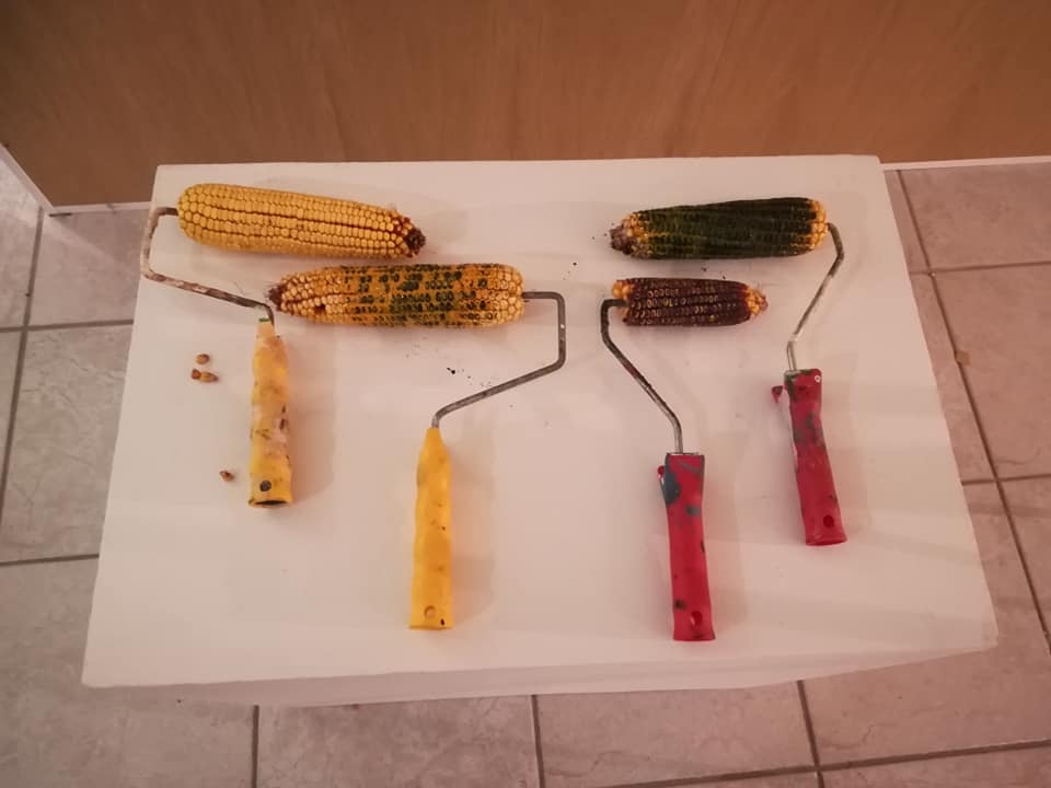 Agrovalčeky, 2018, objekty/náradie pre vytvorenie kukuričnej grafiky (foto: archív Peter Králik)