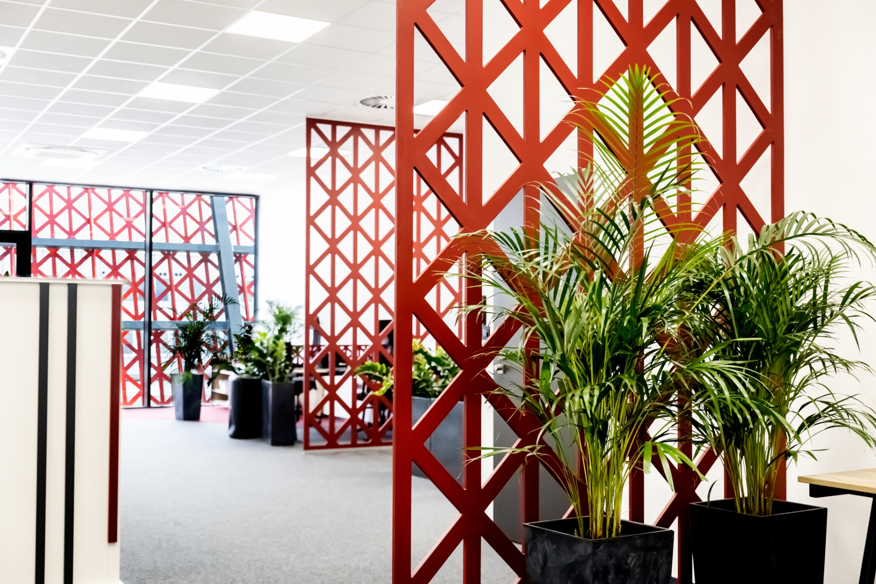 Realizácia – Kancelárie v novej budove STK, 2022, Žilina, podľa návrhu vizualizácie od Tatiany Gajdošovej – HOME UP DESIGN (foto: firma Millhill)
