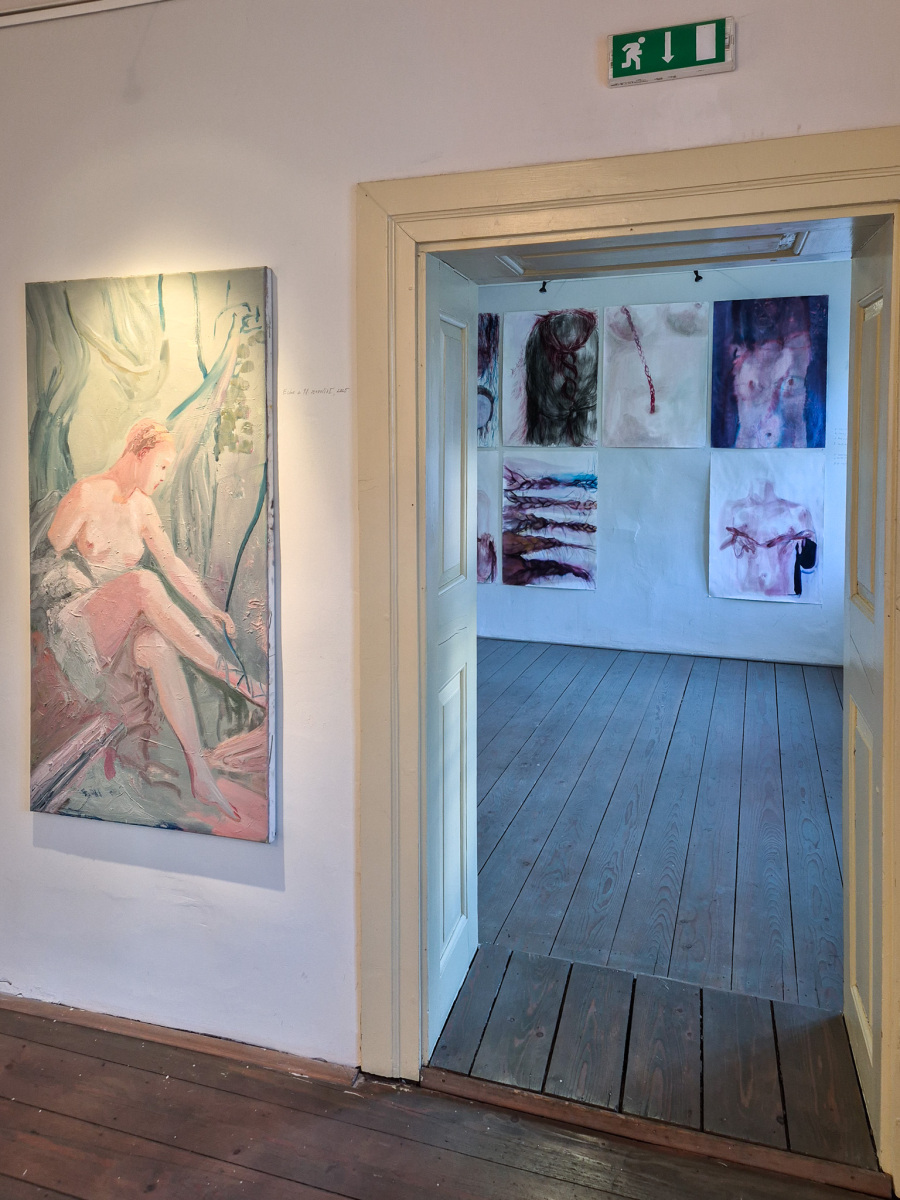 Z výstavy Jana Farmanová: Rieka vlasov, 2026, Schemnitz gallery, Banská Štiavnica. (foto: KUNSTARTUM)