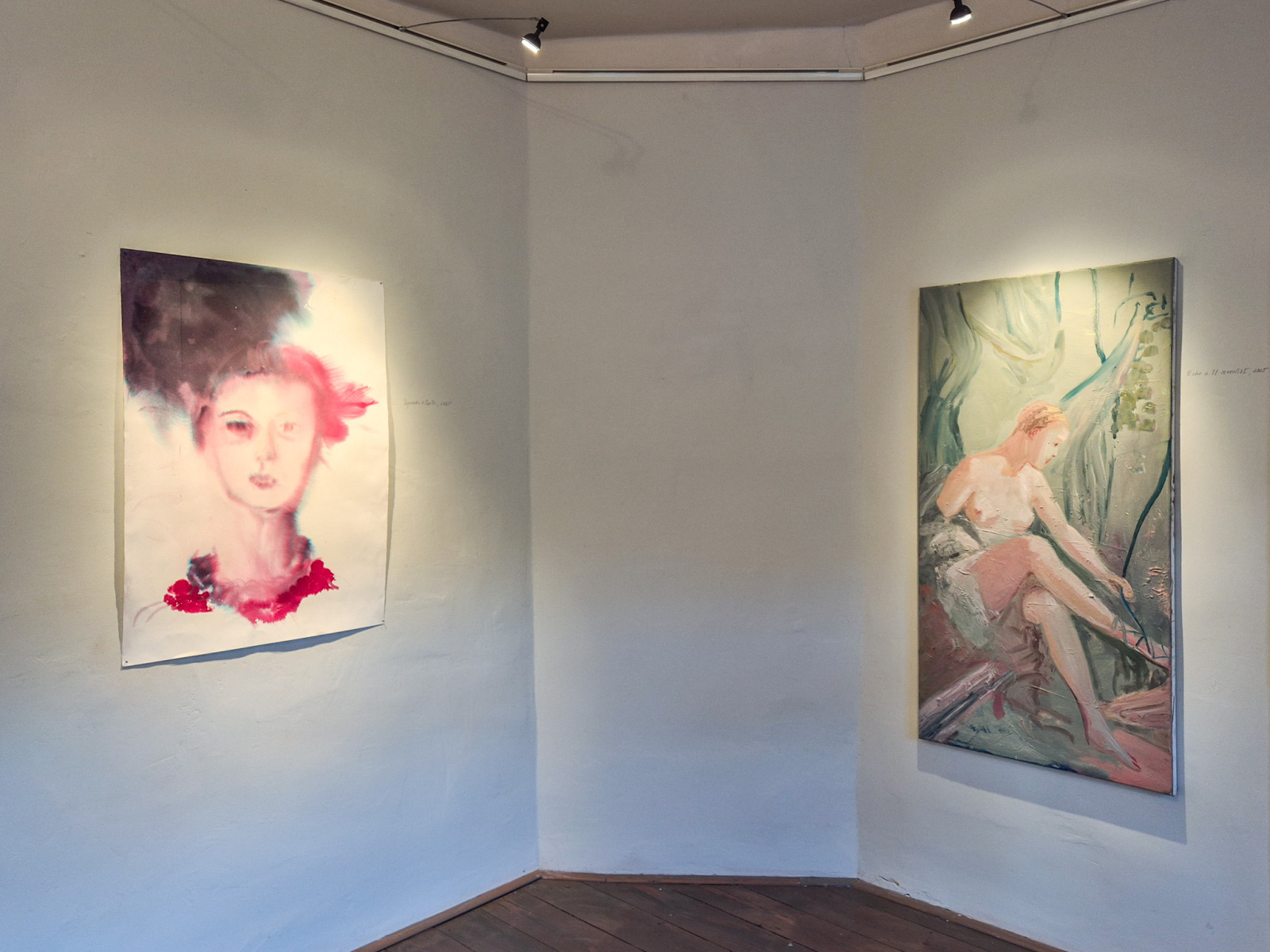 Z výstavy Jana Farmanová: Rieka vlasov, 2026, Schemnitz gallery, Banská Štiavnica. (foto: KUNSTARTUM)