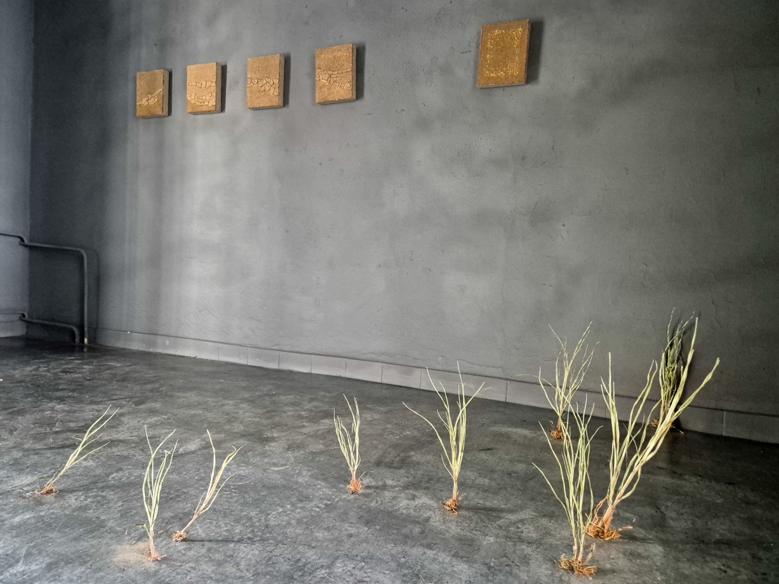Z výstavy Lucia Žitnayová: Archív dna, 2026, Rozkvet gallery, Banská Bystrica (foto: KUNSTARTUM)