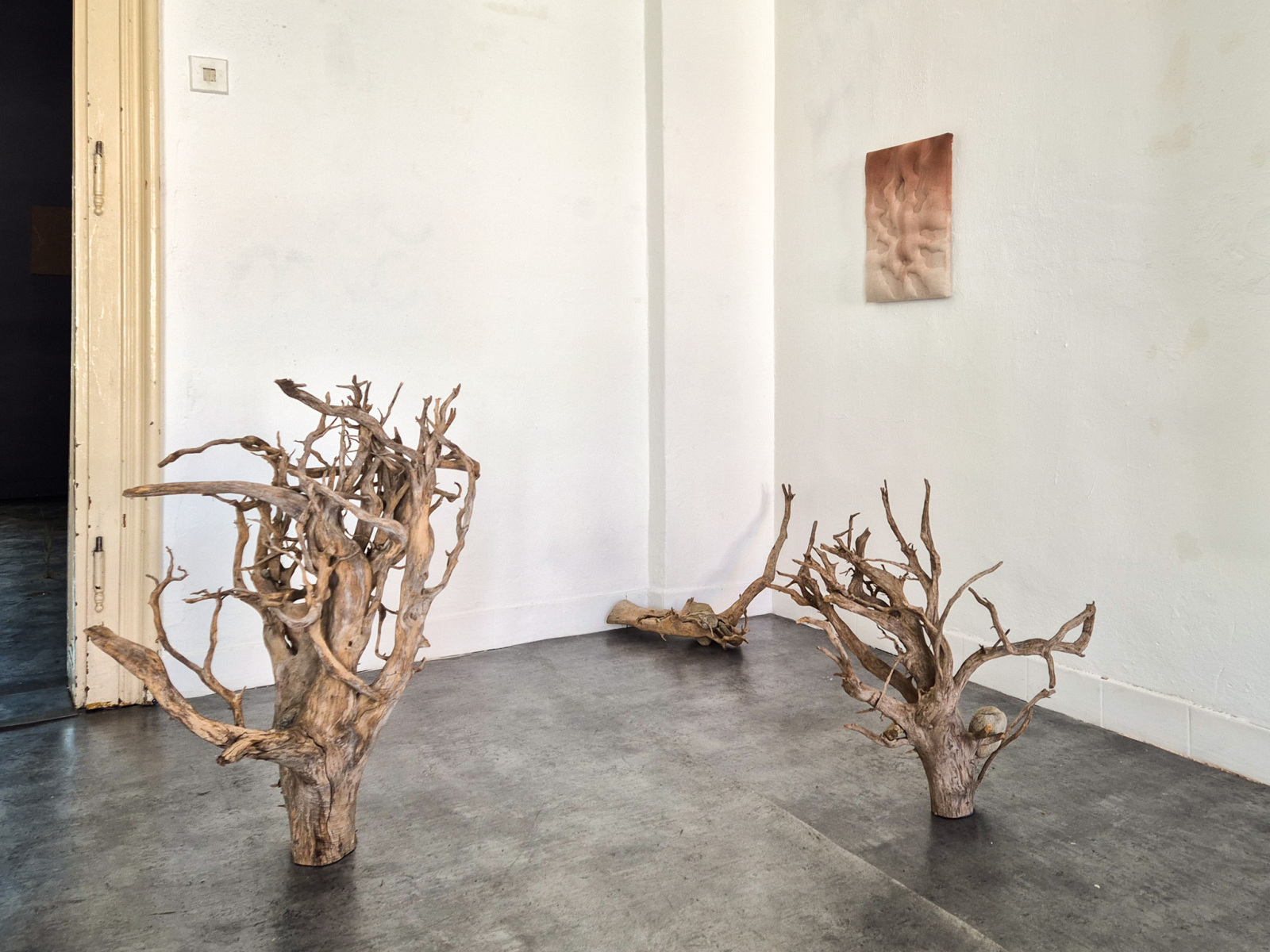 Z výstavy Lucia Žitnayová: Archív dna, 2026, Rozkvet gallery, Banská Bystrica (foto: KUNSTARTUM)