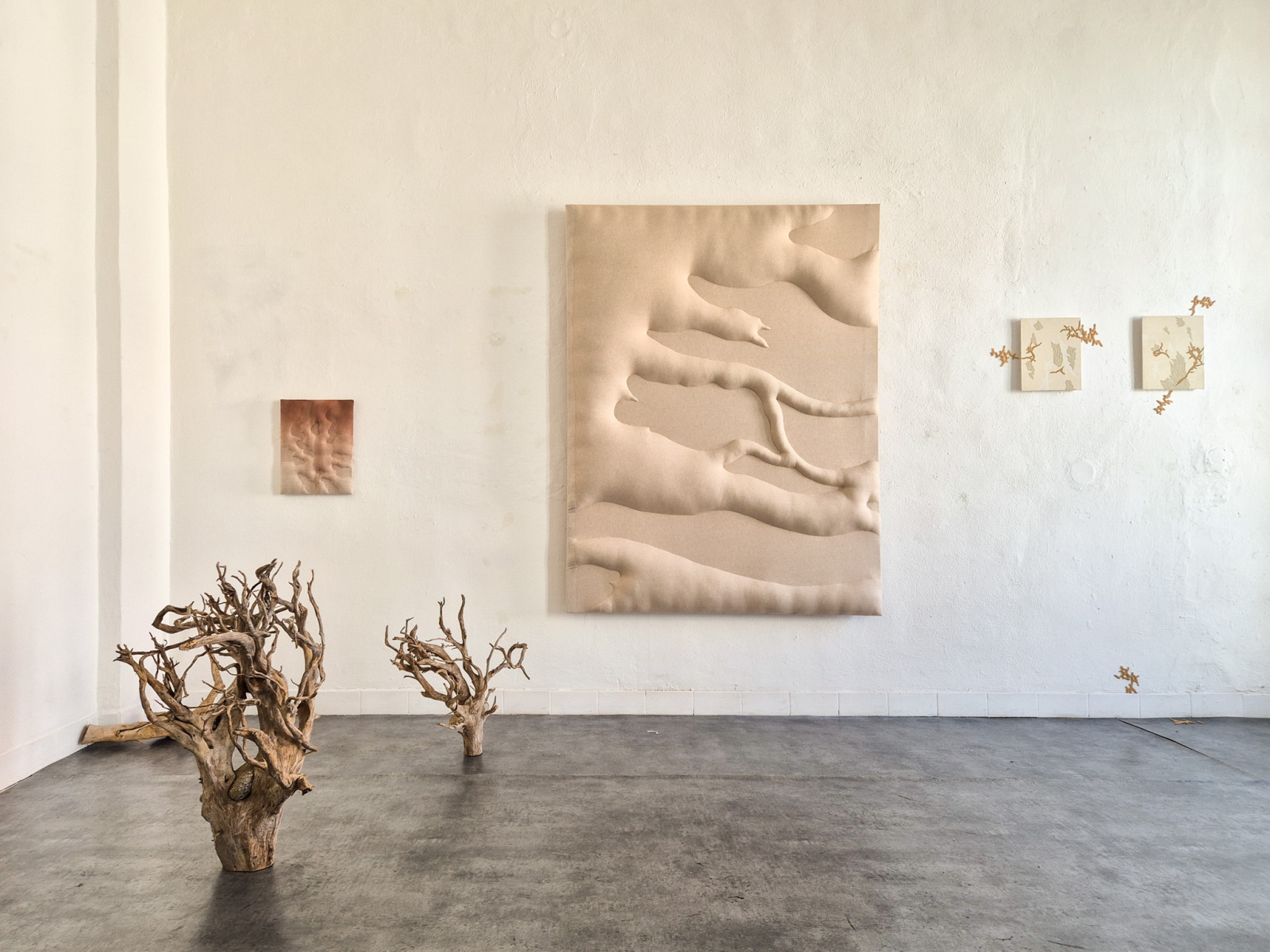 Z výstavy Lucia Žitnayová: Archív dna, 2026, Rozkvet gallery, Banská Bystrica (foto: KUNSTARTUM)