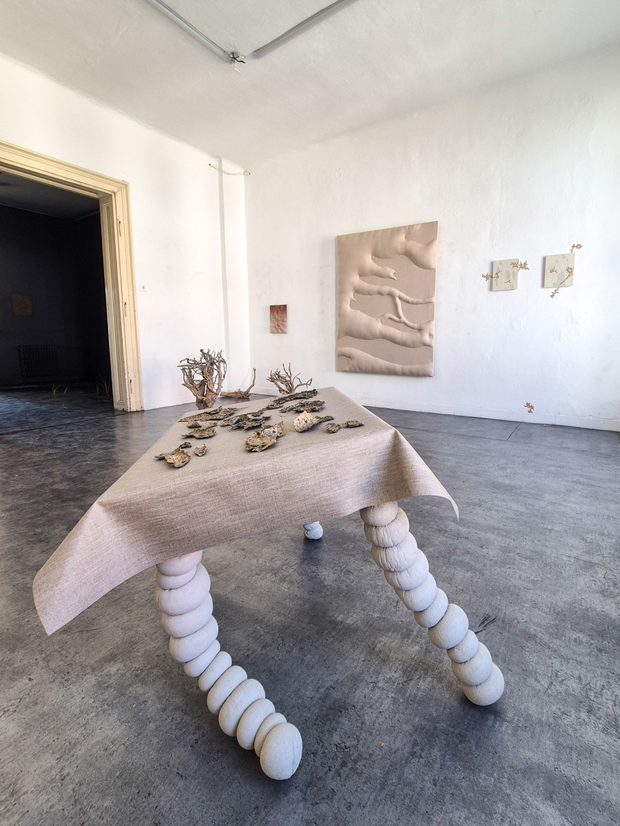 Z výstavy Lucia Žitnayová: Archív dna, 2026, Rozkvet gallery, Banská Bystrica (foto: KUNSTARTUM)