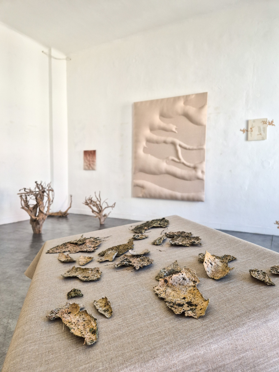 Z výstavy Lucia Žitnayová: Archív dna, 2026, Rozkvet gallery, Banská Bystrica (foto: KUNSTARTUM)