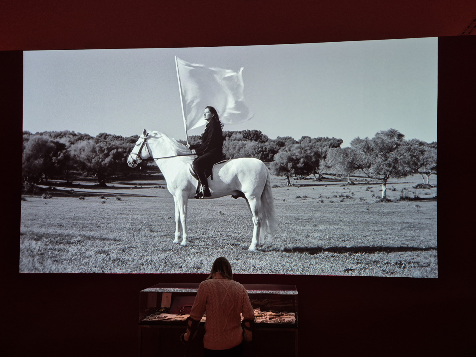Marina Abramović: The Hero,2001, 35mm čierno-biely film so zvukom, 14 minút, 21 sekúnd + vitrína s predmetmi z vlastníctva Vojina Abramovića. (foto: KUNSTARTUM)