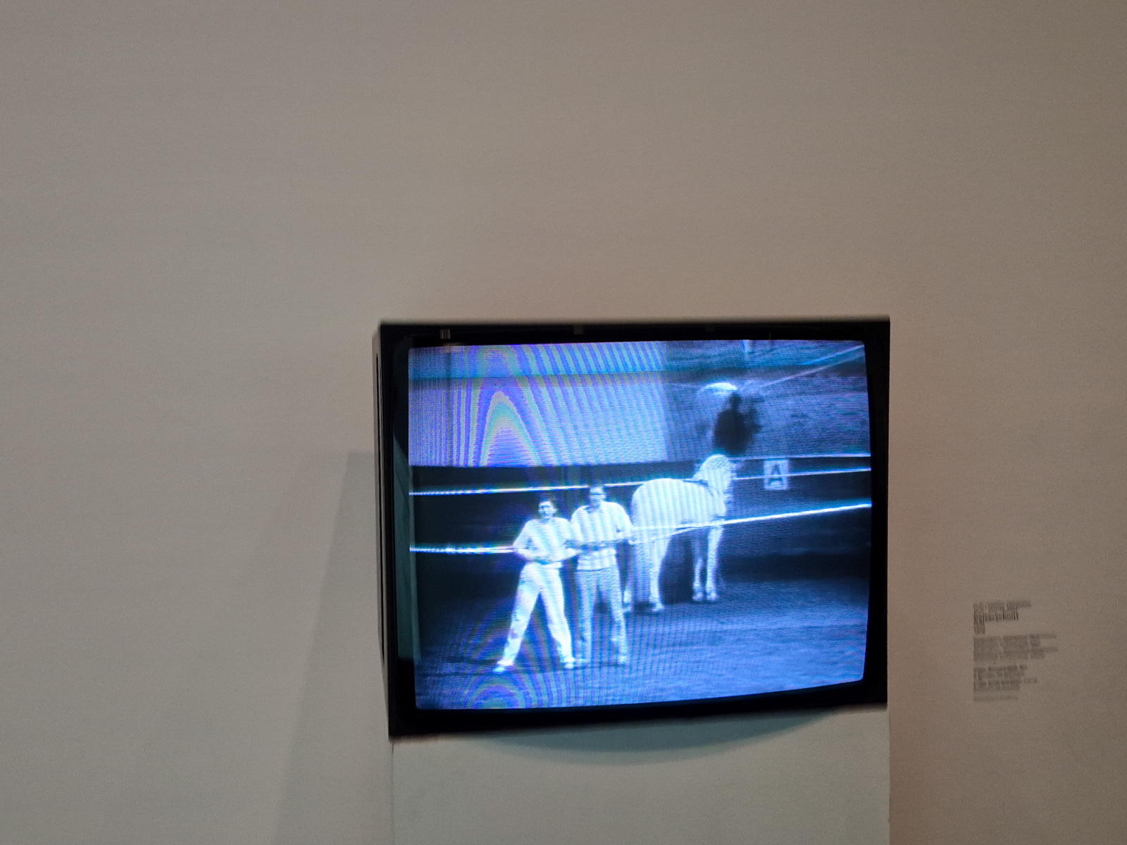 Ulay/Marina Abramović: Kaiserschnitt, 1978, performance, International Performance Symposium, Hofreitschule, Viedeň; čiernobiele video so zvukom, 6 minút a 40 sekúnd. (foto: KUNSTARTUM)