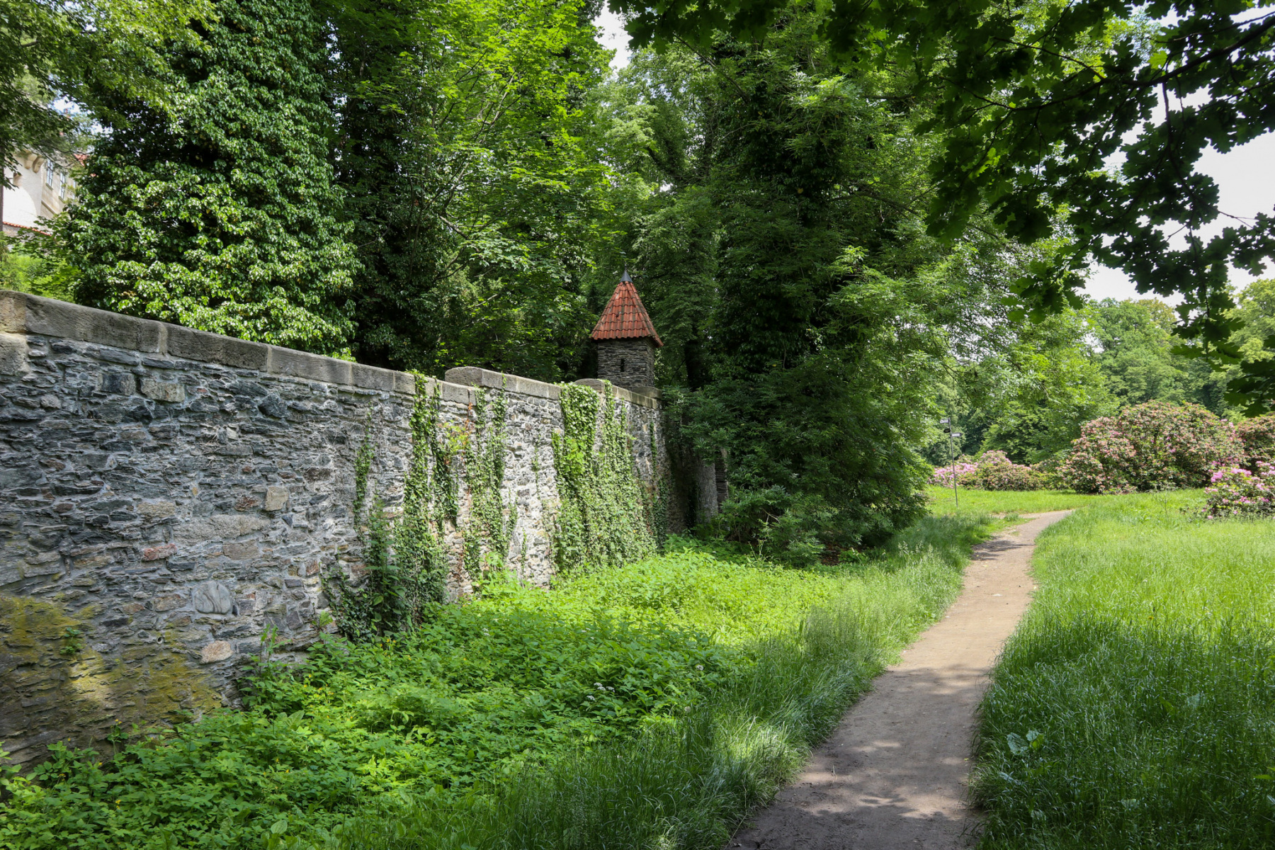 Vonkajšie hradby v okolí zámku Žleby, 2020 (foto: KUNSTARTUM)