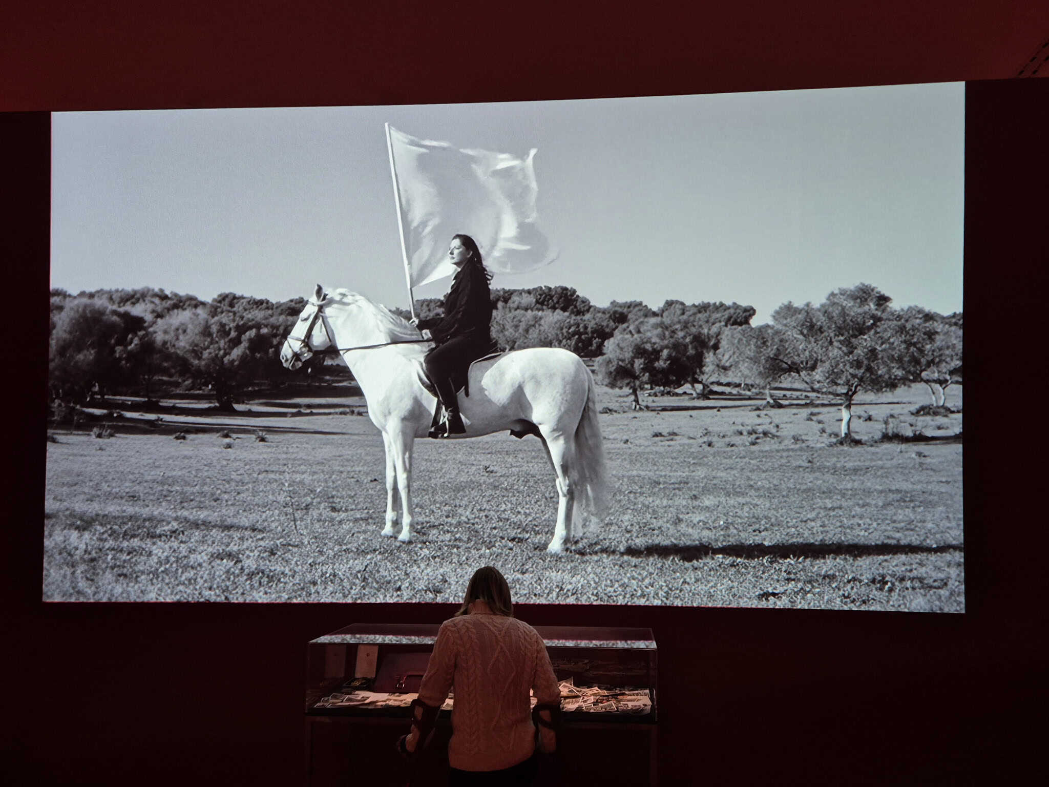 Marina Abramović: The Hero