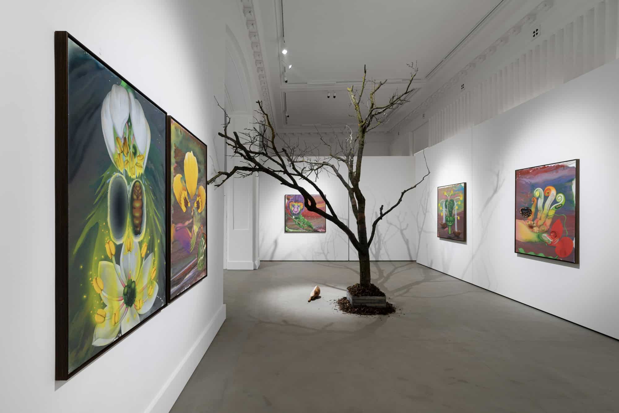 výstava Opeľovačov sen, Comma gallery
