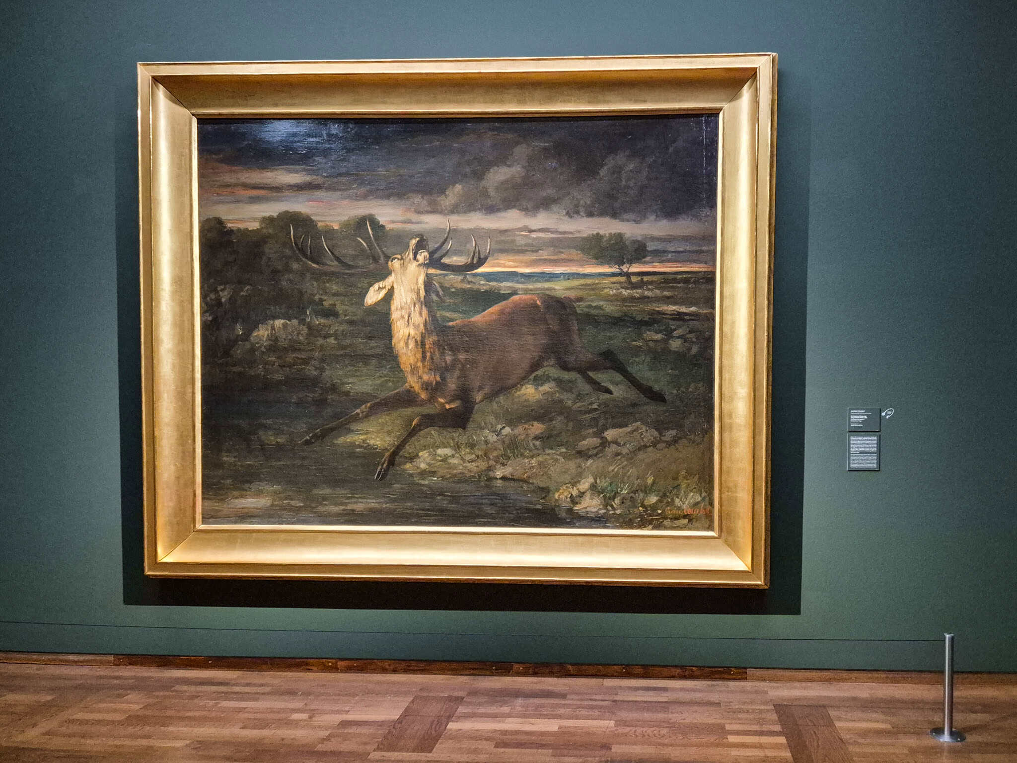 Gustave Courbet: Jeleň na vode alebo zahnaný jeleň