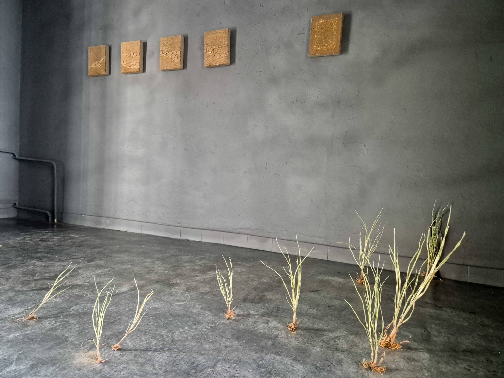 Rozkvet gallery, Banská Bystrica
