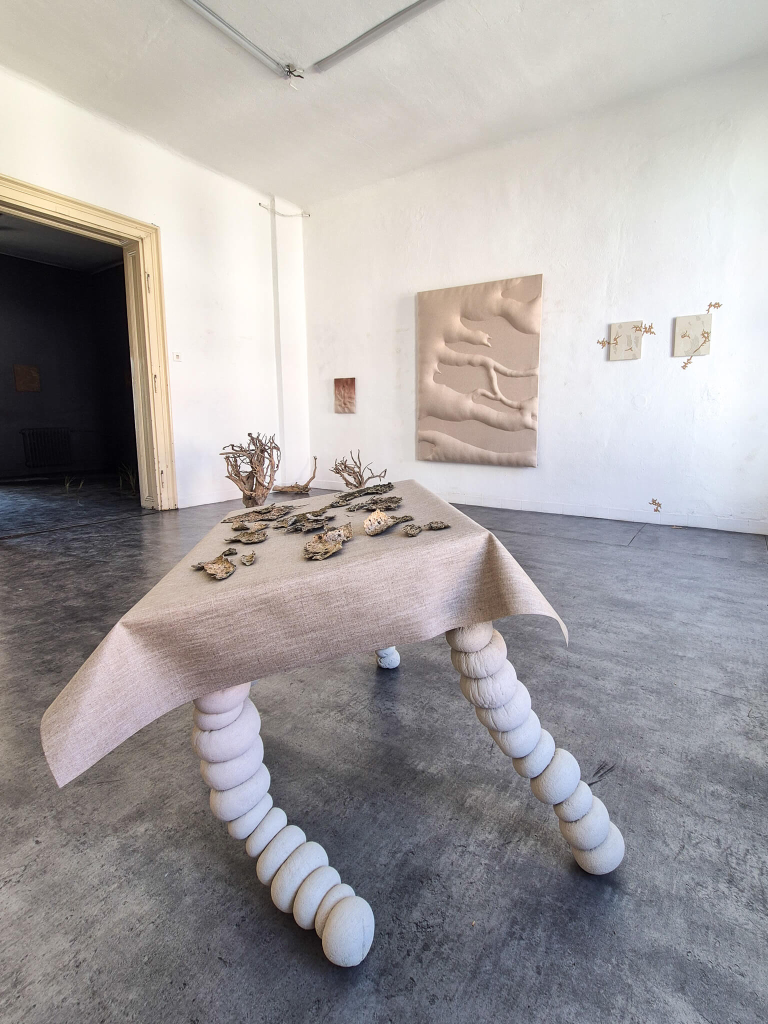 Výstava Lucia Žitnayová: Archív dna, Rozkvet gallery, Banská Bystrica